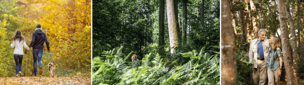 Balade en amoureux en forêt de Lyons