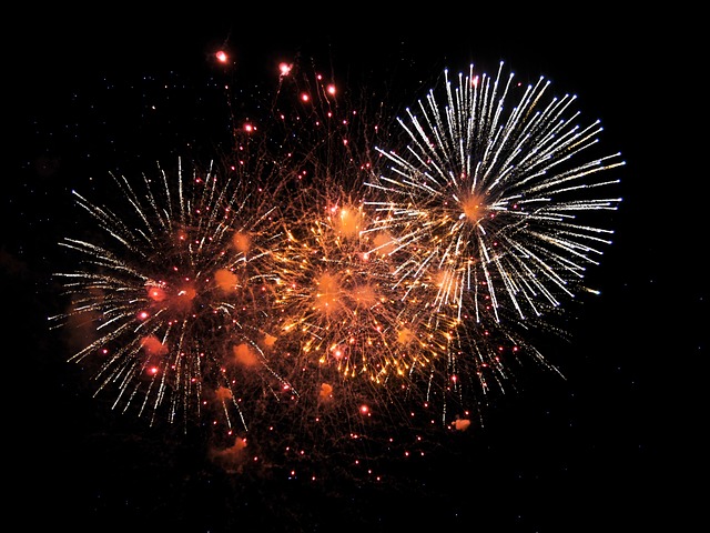 fireworks-gea1e83716-640.jpg