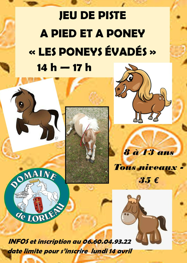 Jeu-de-piste-Domaine-de-Lorleau-avril-2025.png