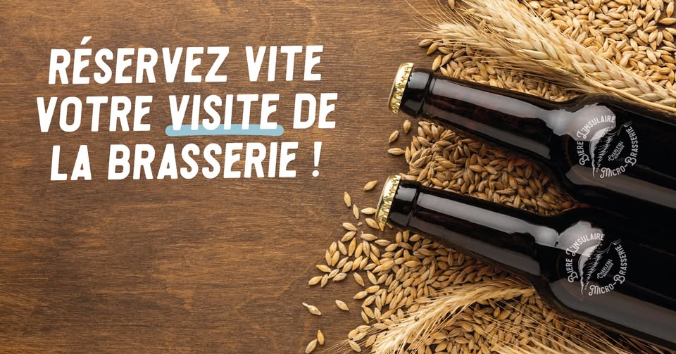 visite-brasserie-insulaire.jpg