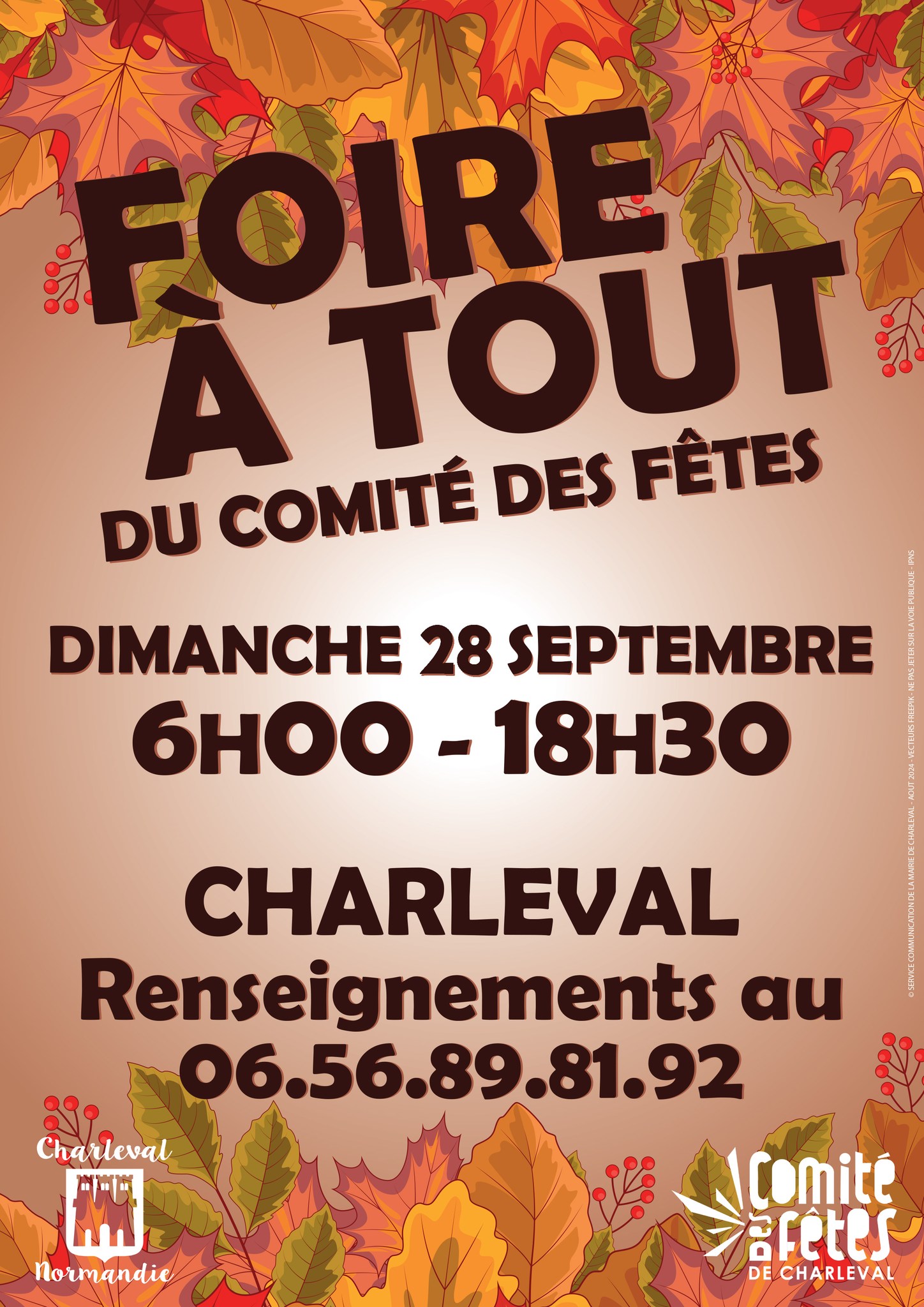 foire-a-tout-charleval.jpg