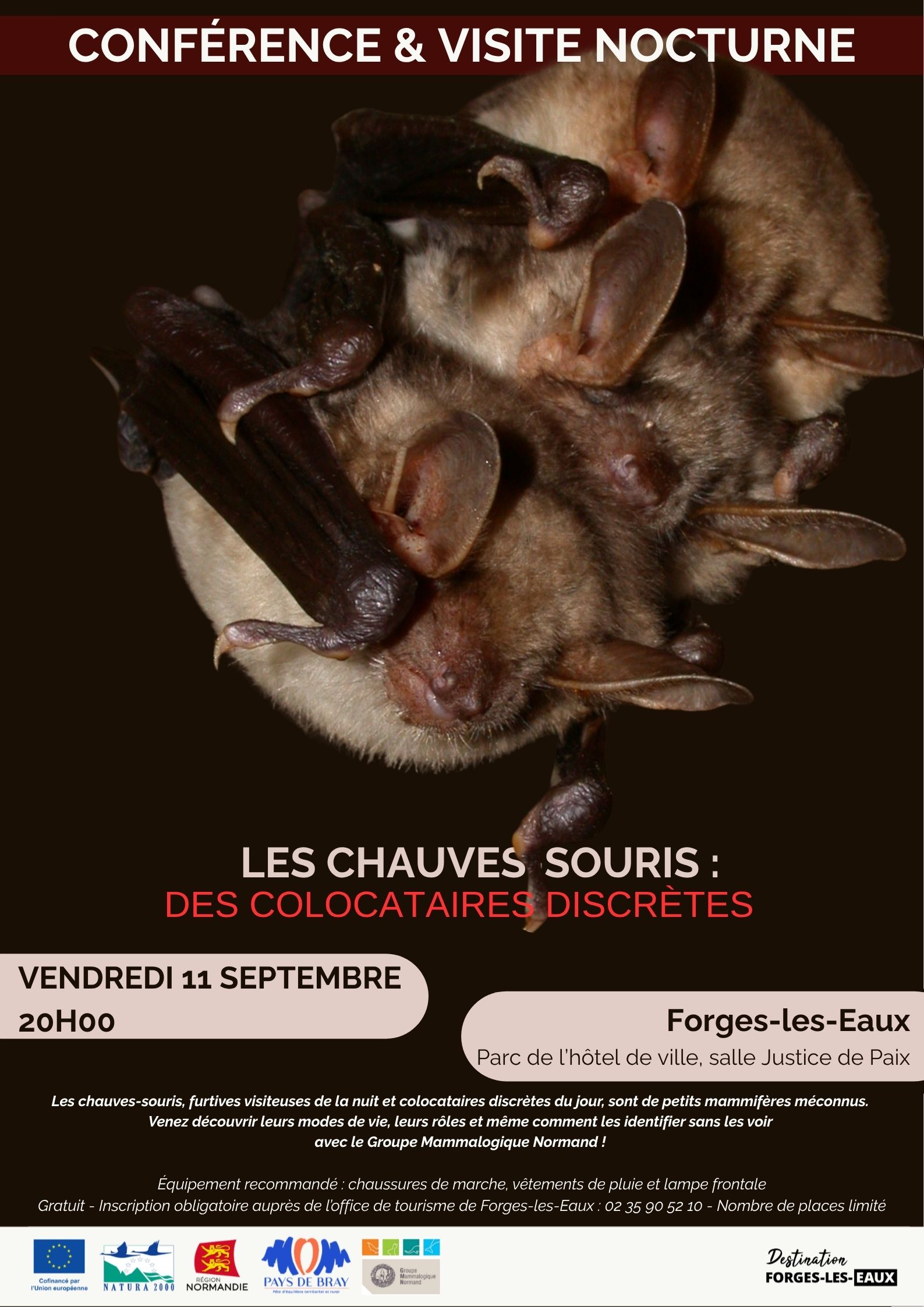 Affiche-conf-chauvesouris-11septembre.jpg