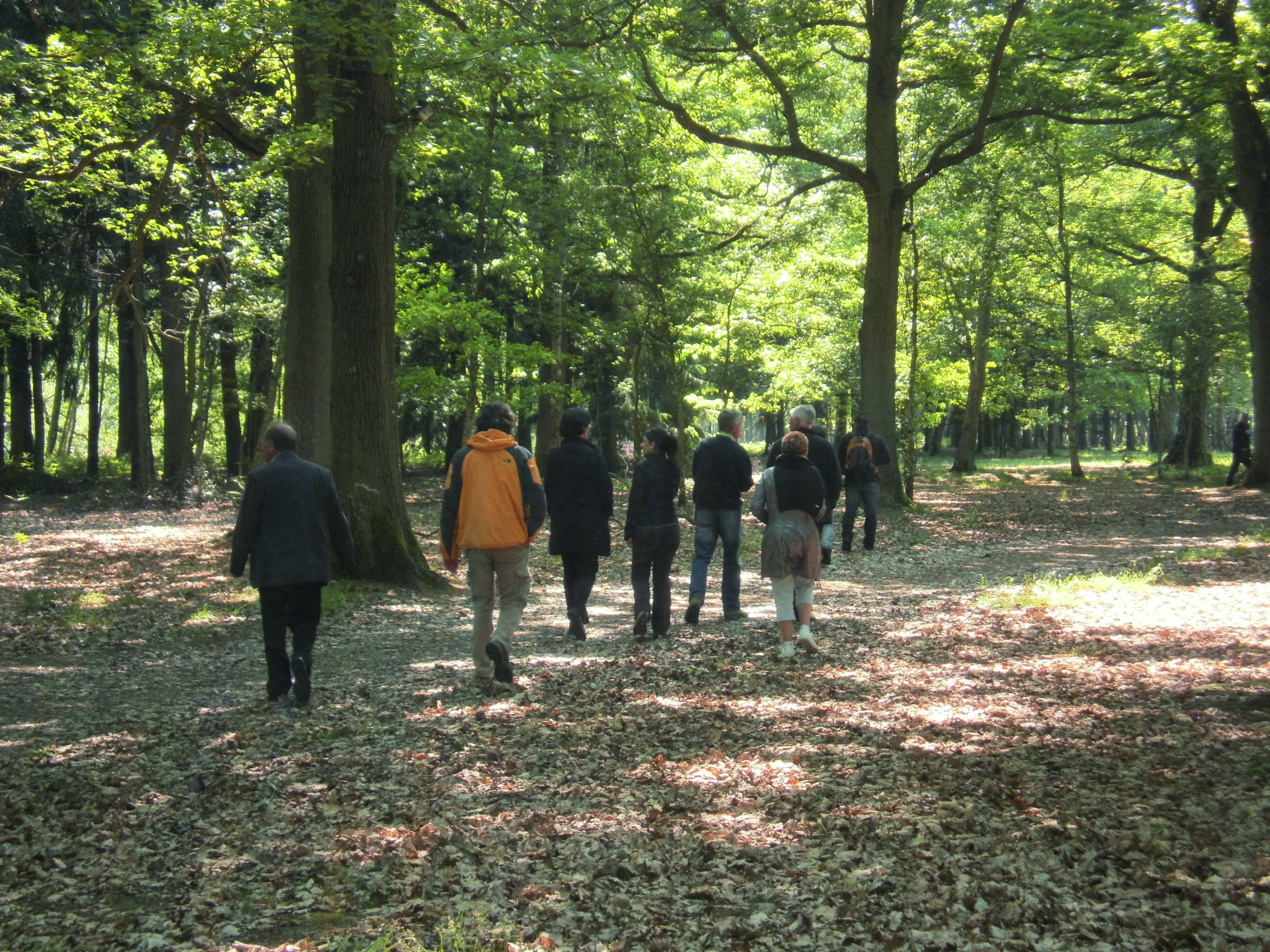 Bois-de-l-Epinay-103-scaled.jpg