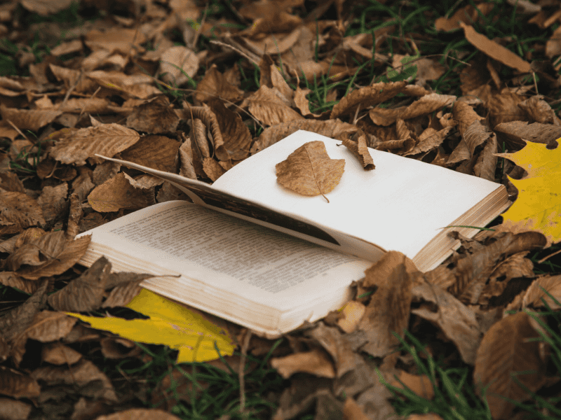 Atelier-automne-Pixabay-3.png