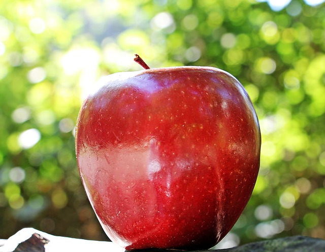 fete-de-la-pomme-4.jpg